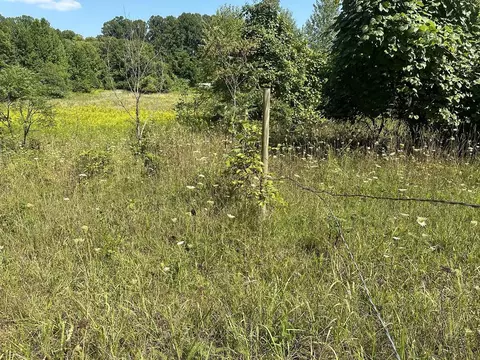 18800 Calvin Hl, Cassopolis, MI 49031 photo 13