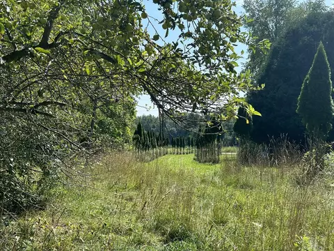 18800 Calvin Hl, Cassopolis, MI 49031 photo 20