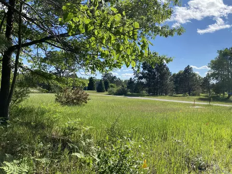 12245 Lila, Canadian Lakes, MI 49346