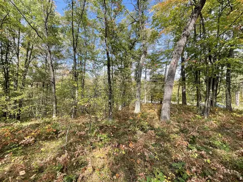 V/l 20a N Woodbridge, Bitely, MI 49309 photo 8