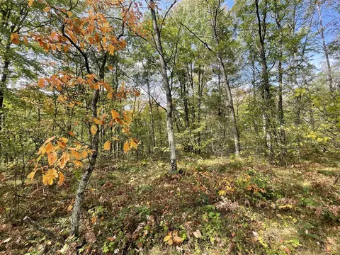 V/l 20a N Woodbridge, Bitely, MI 49309 photo 9