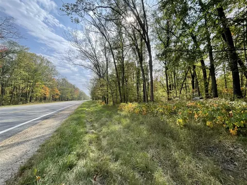 V/l 20a N Woodbridge, Bitely, MI 49309