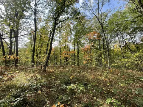 V/l 20a N Woodbridge, Bitely, MI 49309 photo 4