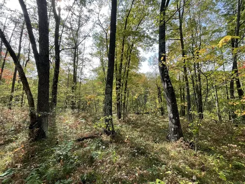 V/l 20a N Woodbridge, Bitely, MI 49309 photo 6