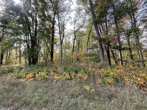 V/l 20a N Woodbridge, Bitely, MI 49309 photo 14