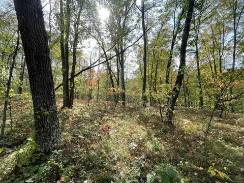 V/l 20a N Woodbridge, Bitely, MI 49309 photo 5