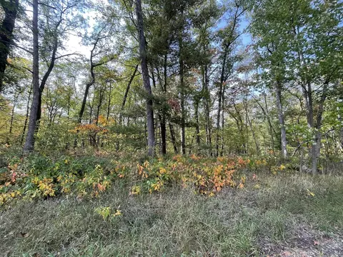 V/l 20a N Woodbridge, Bitely, MI 49309 photo 13