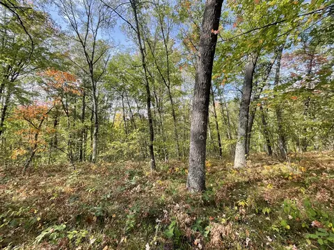 V/l 20a N Woodbridge, Bitely, MI 49309 photo 3