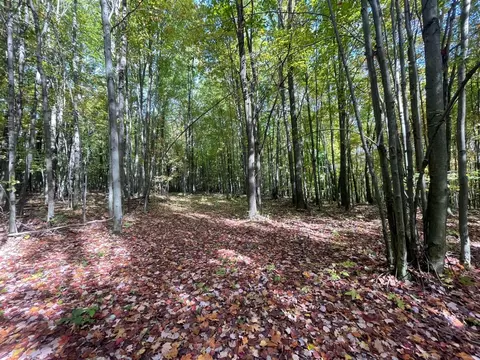 V/l 40a 12 Mile, Leroy, MI 49655