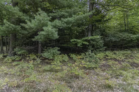 Lot 2 Pine, Mears, MI 49436 photo 9