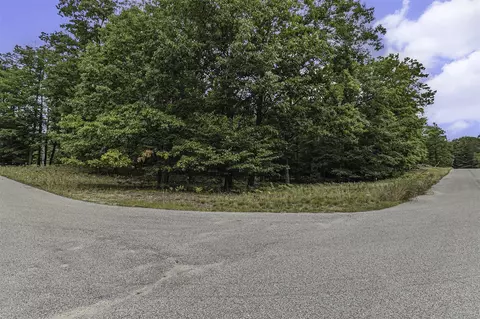 Lot 2 Pine, Mears, MI 49436 photo 3