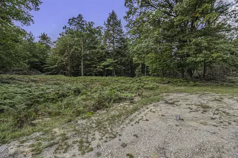Lot 2 Pine, Mears, MI 49436 photo 17
