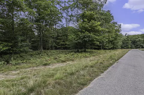 Lot 2 Pine, Mears, MI 49436 photo 4