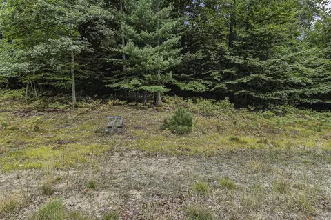 Lot 2 Pine, Mears, MI 49436 photo 6