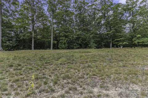 Lot 2 Pine, Mears, MI 49436 photo 13