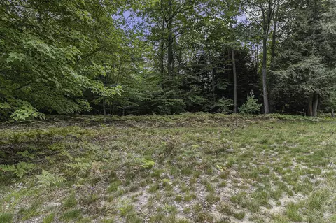 Lot 2 Pine, Mears, MI 49436 photo 8