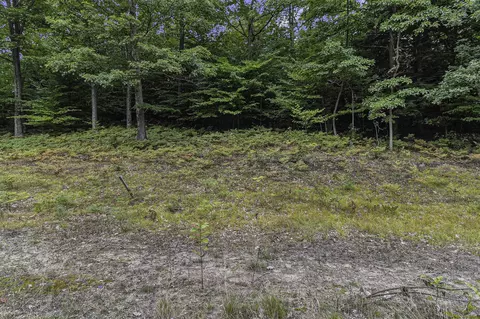 Lot 2 Pine, Mears, MI 49436 photo 7