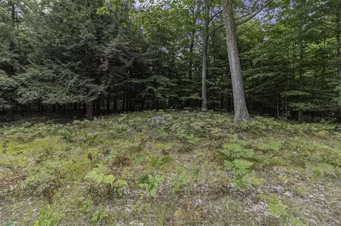 Lot 2 Pine, Mears, MI 49436 photo 5
