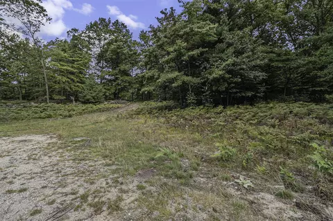 Lot 4 Pine, Mears, MI 49436 photo 16