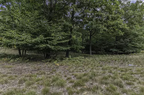 Lot 4 Pine, Mears, MI 49436 photo 12