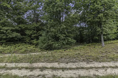 Lot 4 Pine, Mears, MI 49436 photo 14
