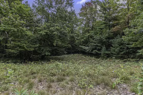 Lot 4 Pine, Mears, MI 49436 photo 10