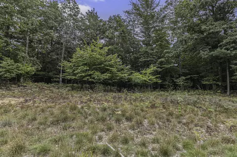 Lot 4 Pine, Mears, MI 49436 photo 11