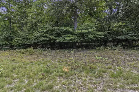 Lot 4 Pine, Mears, MI 49436 photo 15