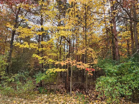 10053 Holly, Stanwood, MI 49346