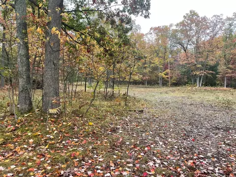 10843 N Mac, Irons, MI 49644 photo 11