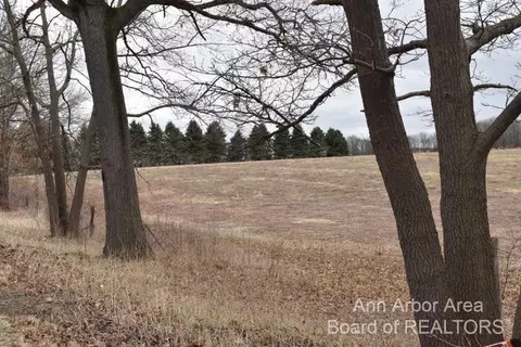 9250 Stofer, Chelsea, MI 48118