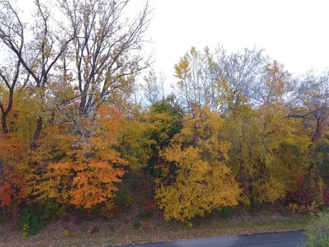 Tbd 61st, Hartford, MI 49057