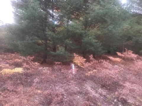 6225 Cedar #28, Canadian Lakes, MI 49346