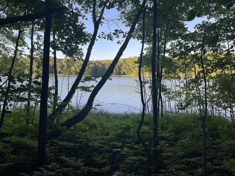 Lot 126 Alpine Drive, Reed City, MI 49677