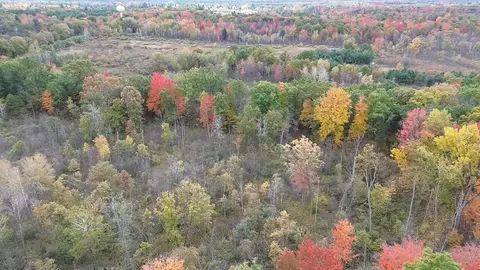 1 Us 10 # 2, Sanford, MI 48657