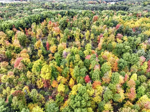 Vl Case Rd, Bellevue, MI 49021