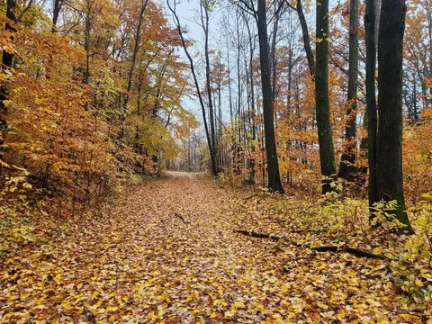 0 Trail, White Cloud, MI 49349 photo 6