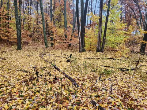 0 Trail, White Cloud, MI 49349 photo 3