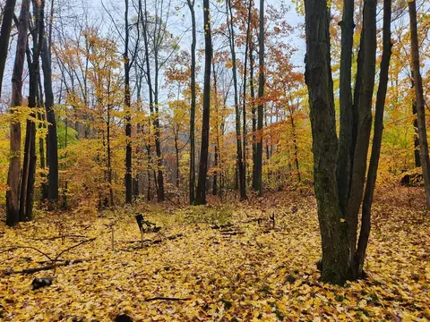 0 Trail, White Cloud, MI 49349 photo 7