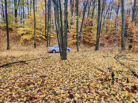 0 Trail, White Cloud, MI 49349 photo 4