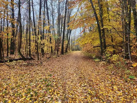 0 Trail, White Cloud, MI 49349 photo 9