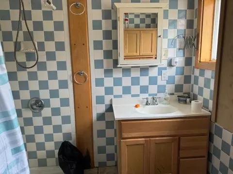 1041 S Bingham, White Cloud, MI 49349 photo 7