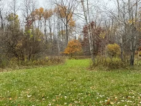 1041 S Bingham, White Cloud, MI 49349 photo 15