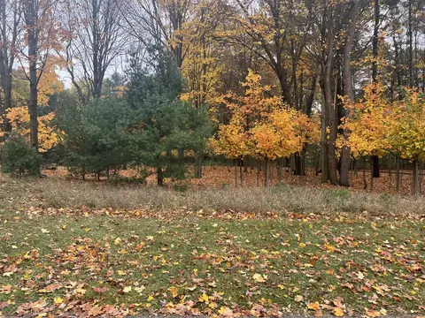 Parcel B Wythe, Pentwater, MI 49449