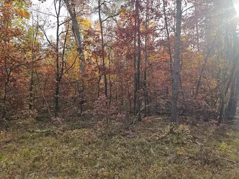 V/l Euclid, Baldwin, MI 49304 photo 6