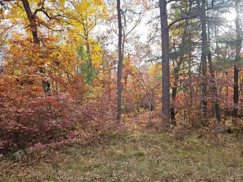 V/l Euclid, Baldwin, MI 49304 photo 5