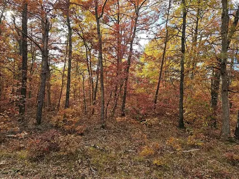 V/l Euclid, Baldwin, MI 49304 photo 3