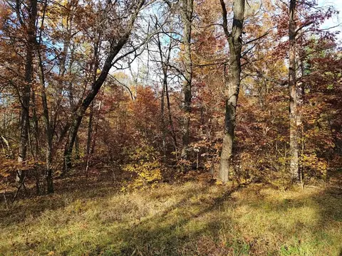 V/l Euclid, Baldwin, MI 49304 photo 7