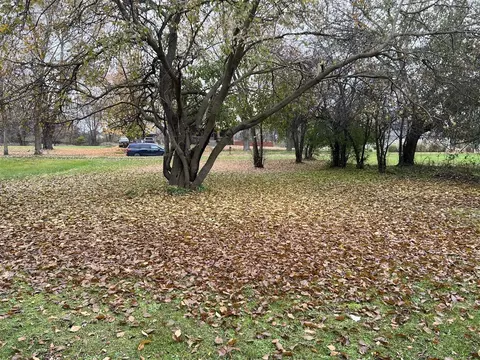 Vl 1 Losey, Jackson, MI 49203 photo 6