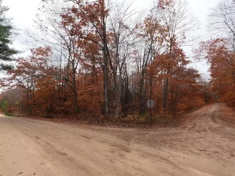 E 9 Mile Rd, Tustin, MI 49688